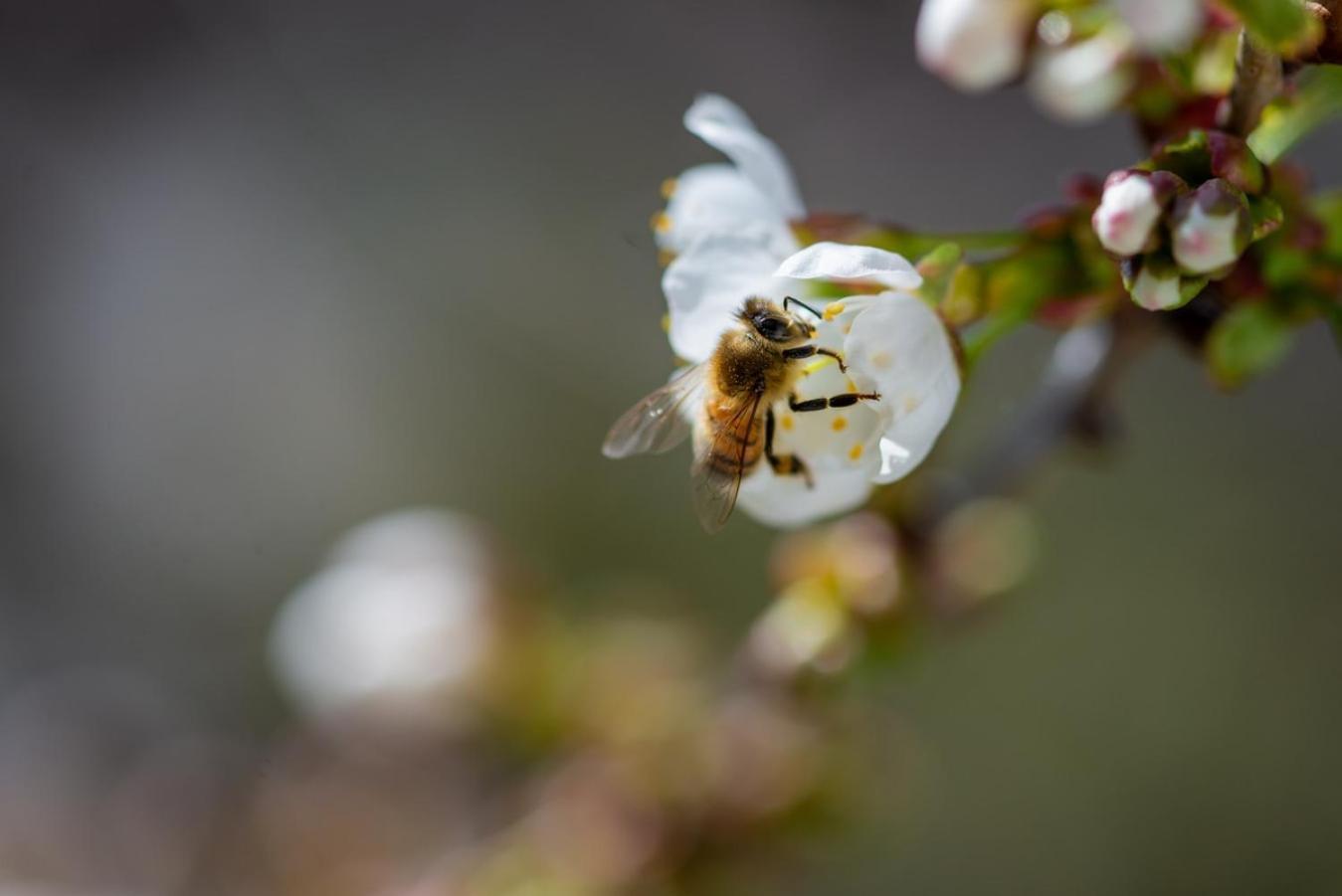 Hof Am Horn - Fewos In Der Natur Laichingen ภายนอก รูปภาพ