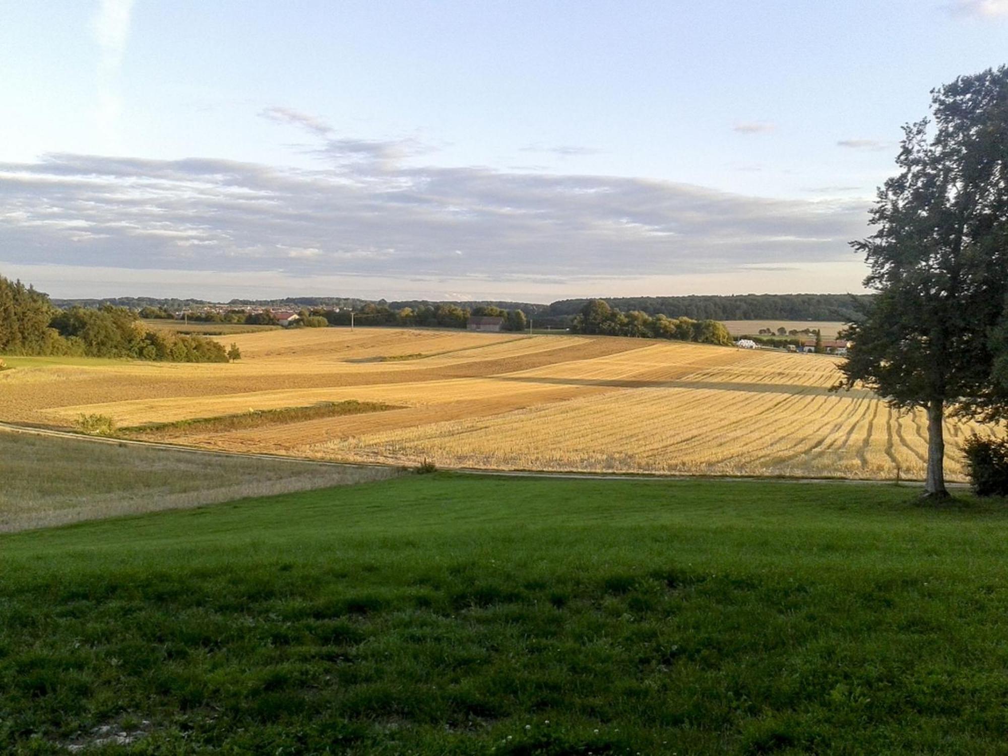 Hof Am Horn - Fewos In Der Natur Laichingen ภายนอก รูปภาพ