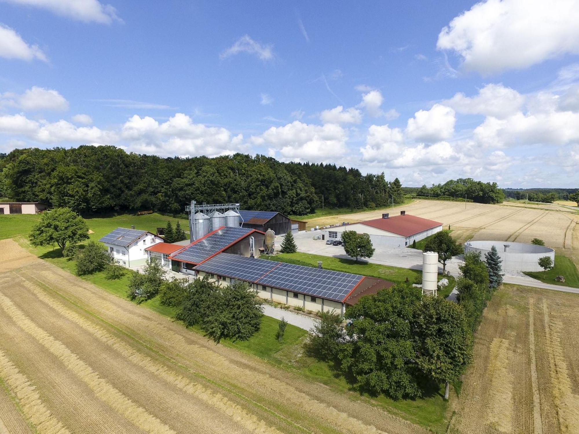Hof Am Horn - Fewos In Der Natur Laichingen ภายนอก รูปภาพ