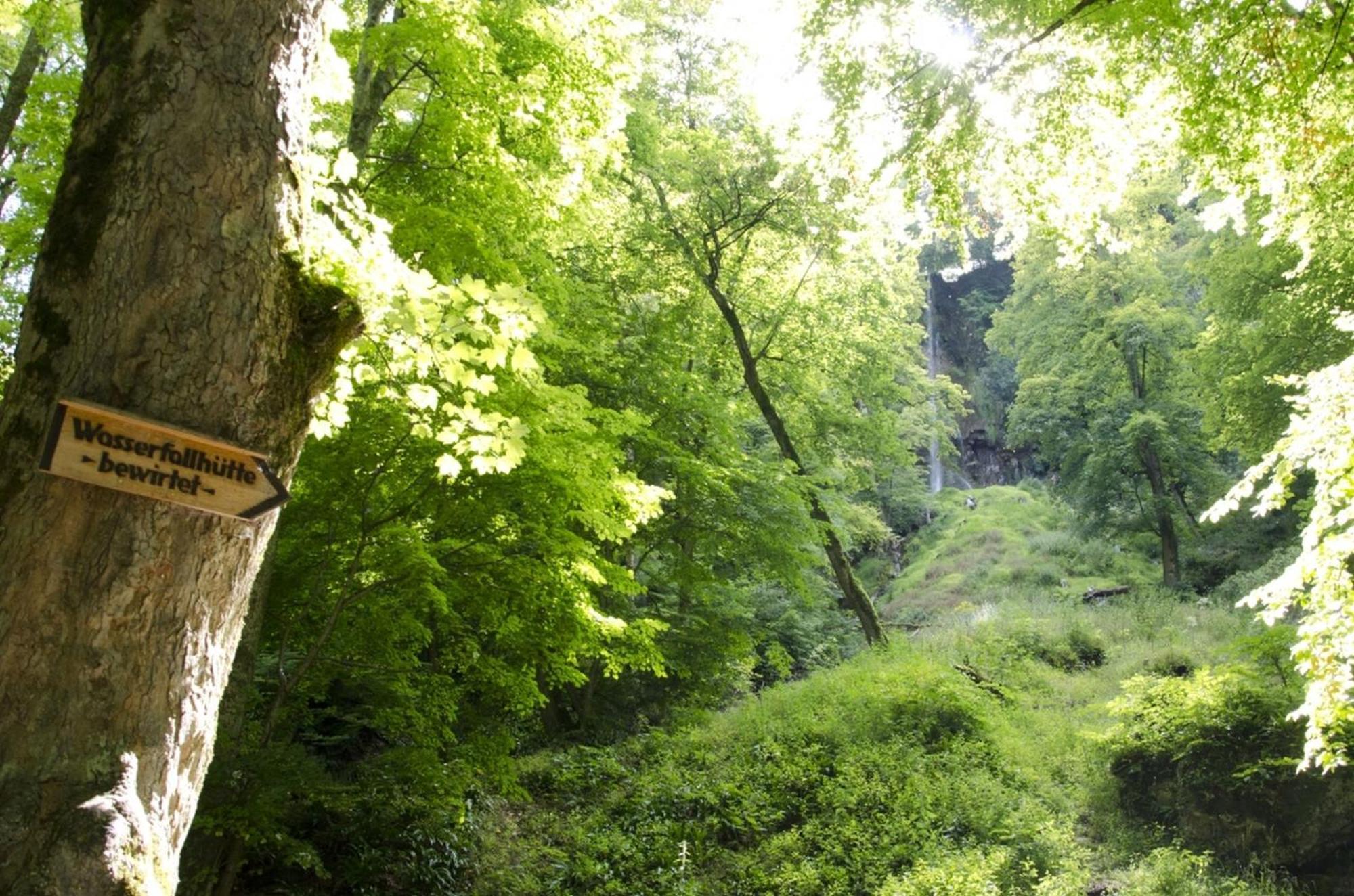 Hof Am Horn - Fewos In Der Natur Laichingen ภายนอก รูปภาพ